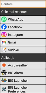 BIG Launcher screen